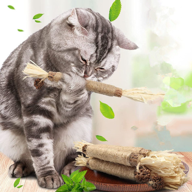 Customizable Natural Dental Care Silvervine Sticks for Cats