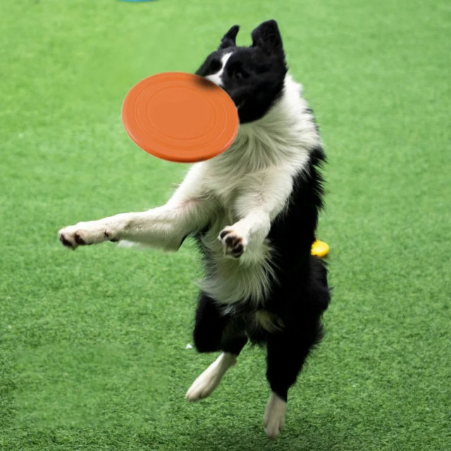 Dog Flying Disc Chew Resistant Interactive Pet Training Toy