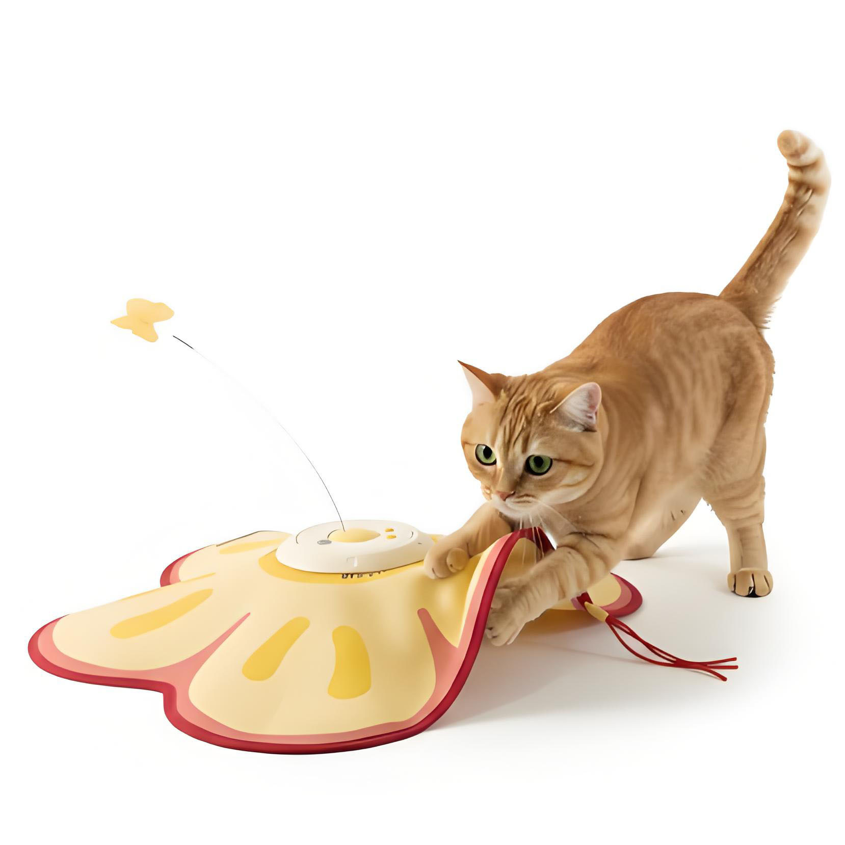 Interactive Play Automatic Hide and Seek Cat Toy
