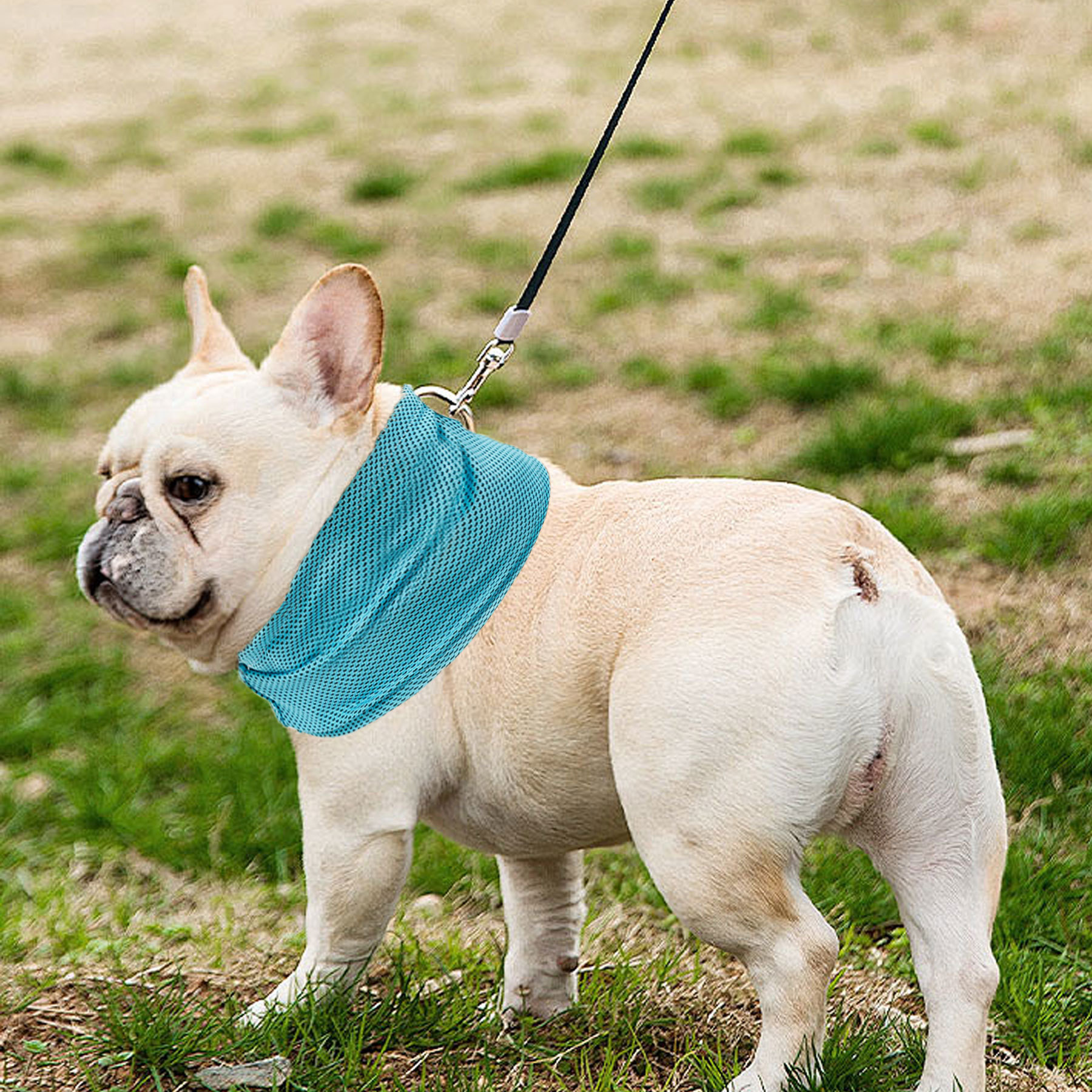 Summer Outdoor Dog Breathable Instat Cooling Bandana
