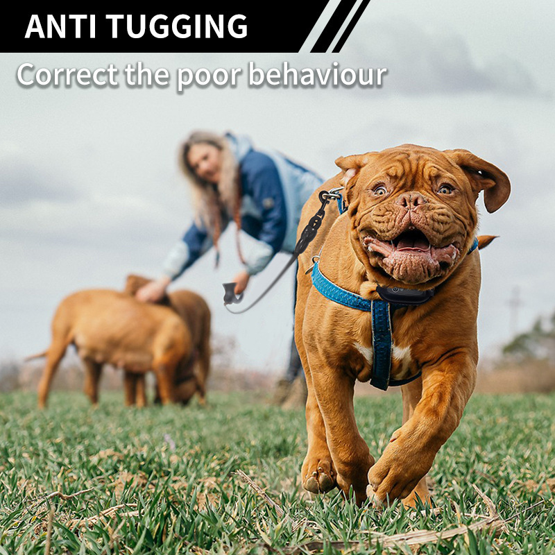 Anti Tugging Rechargeable Waterproof Dog Training Collar