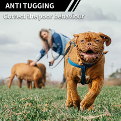 Anti Tugging Rechargeable Waterproof Dog Training Collar