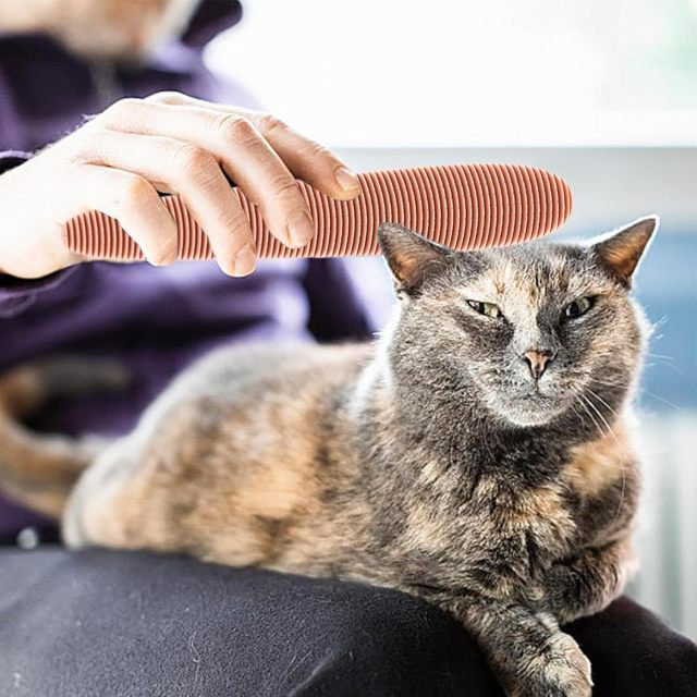 Cat Pet Tongue Massage Grooming Tool Comb