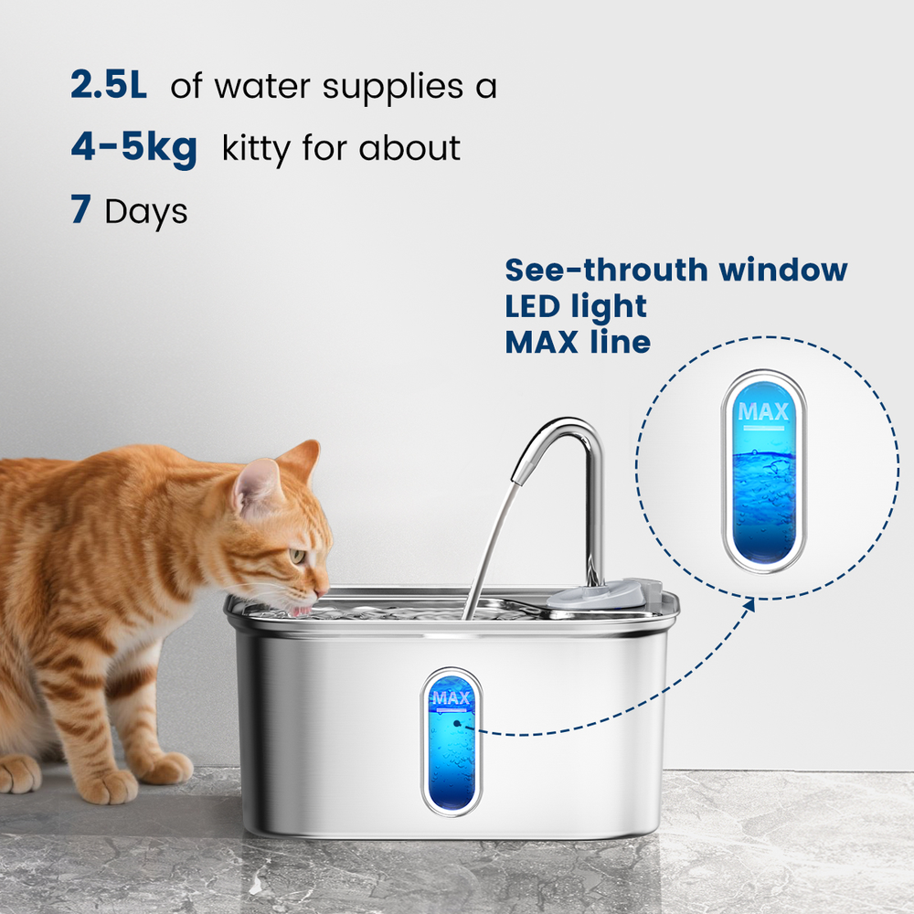 Stainless Steel Rectangular Automatic Pet Intelligent Water Dispenser