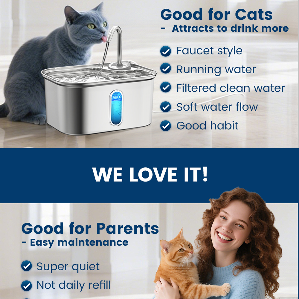 Stainless Steel Rectangular Automatic Pet Intelligent Water Dispenser