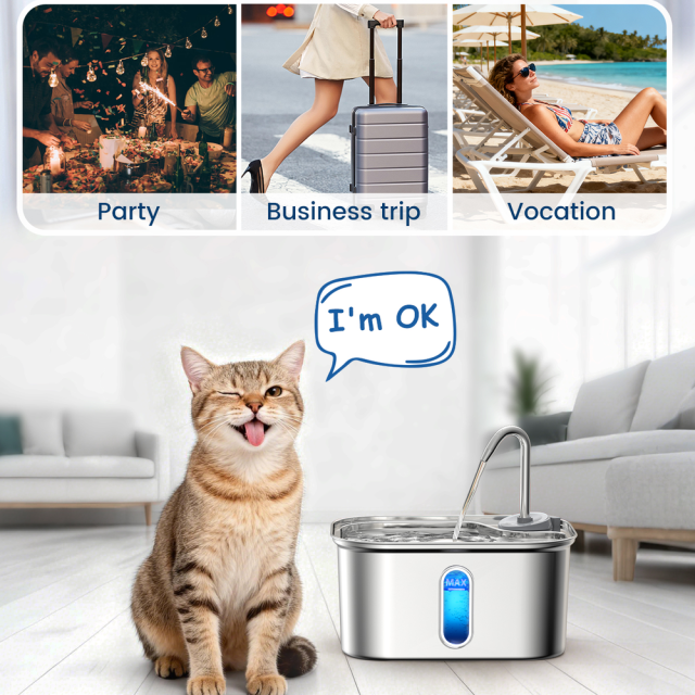 Stainless Steel Rectangular Automatic Pet Intelligent Water Dispenser