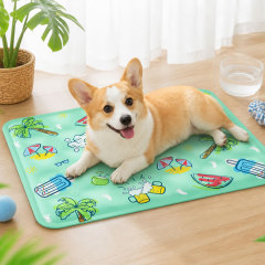 Non Toxic Water Injection Design Cat Dog Pet Dry Ice Cooling Mat