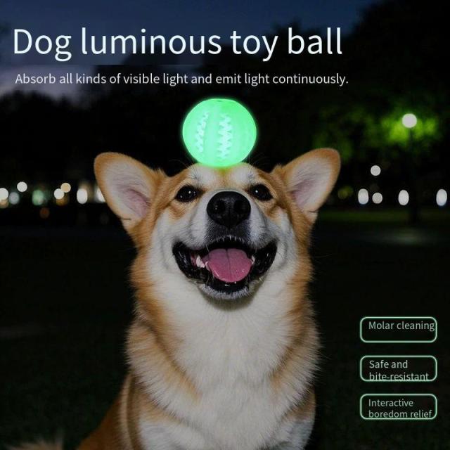 Bite Resistant Dog Luminous Toy Ball for Boredom Relief
