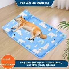 Summer Water Injection Design Dog Cooling Mattress with Pillow