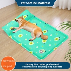 Summer Water Injection Design Dog Cooling Mattress with Pillow