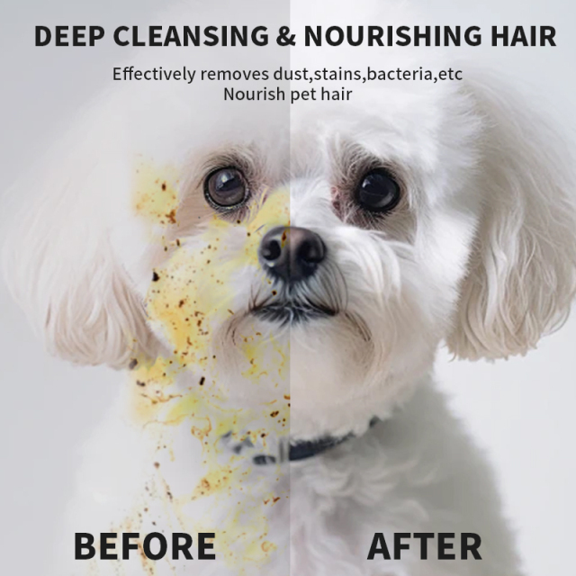 6pcs/pack Waterless Cleaning Moisturizing Dog Cat Glove Wipes