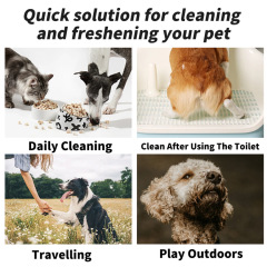 10pcs/pack Travel Size Gentle Hypoallergenic Disposable Pet Wet Wipes