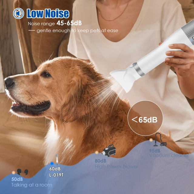 2 in 1 Pet Hair Dryer with 3 Grooming Attachments for Dogs & Cats