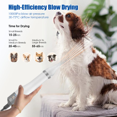 2 in 1 Pet Hair Dryer with 3 Grooming Attachments for Dogs & Cats