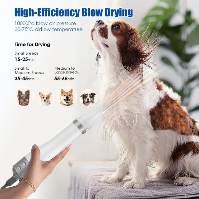 2 in 1 Pet Hair Dryer with 3 Grooming Attachments for Dogs & Cats