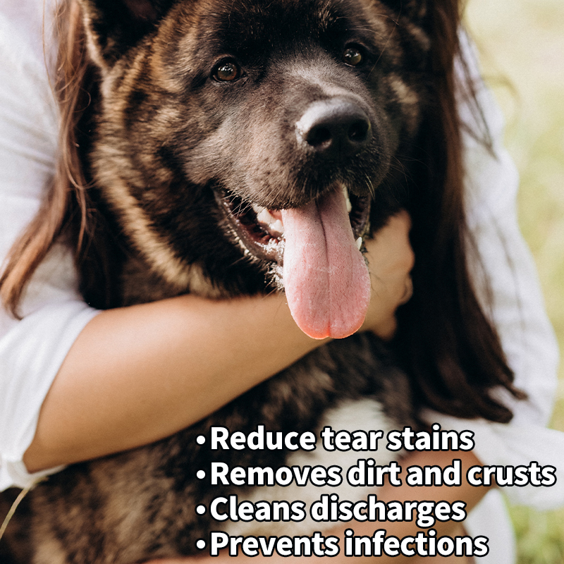 25pcs/bag Soft Disposable Dog Cat Eye Wipes for Daily Care