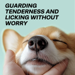 50pcs/pack Natural Moisturizing Pet Nose Finger Wipes for Dogs Cats