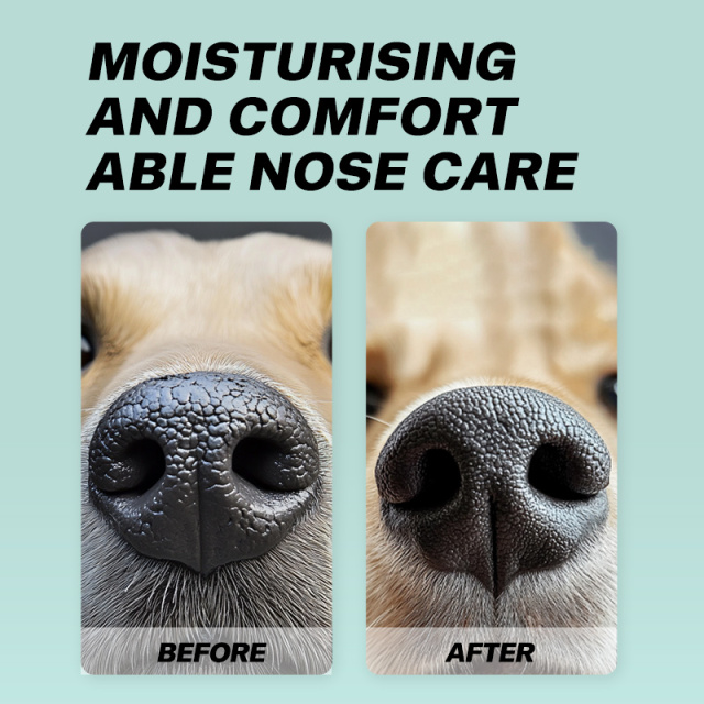 50pcs/pack Natural Moisturizing Pet Nose Finger Wipes for Dogs Cats