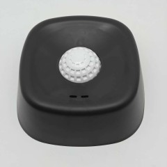 Black Bowl White Ball