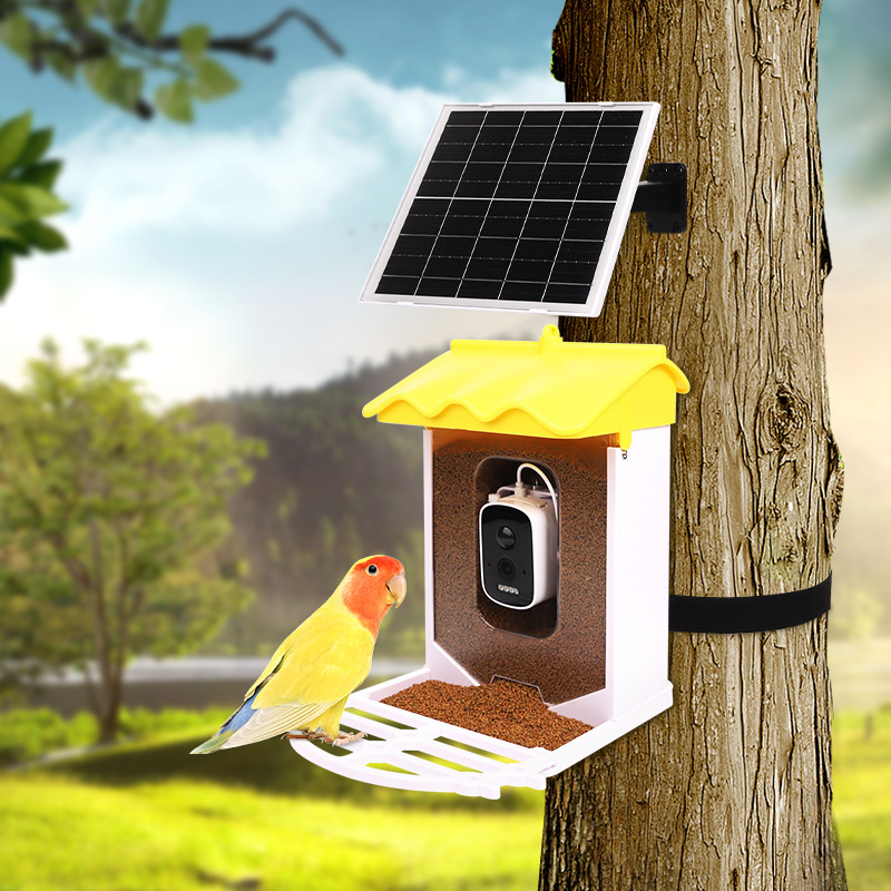 Solar-Powered AI Identify Smart Bird Feeder with HD Camera