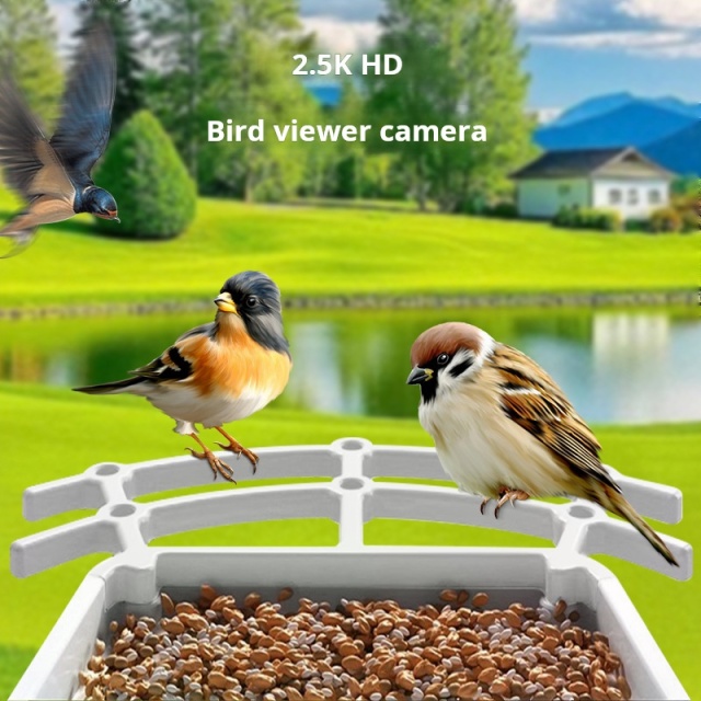 Solar-Powered AI Identify Smart Bird Feeder with HD Camera