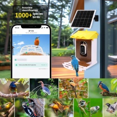 Solar-Powered AI Identify Smart Bird Feeder with HD Camera