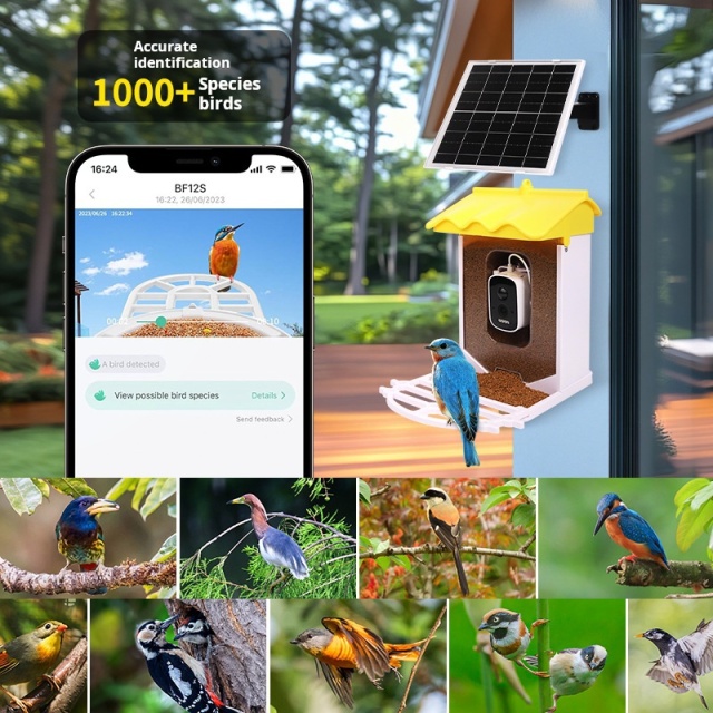 Solar-Powered AI Identify Smart Bird Feeder with HD Camera