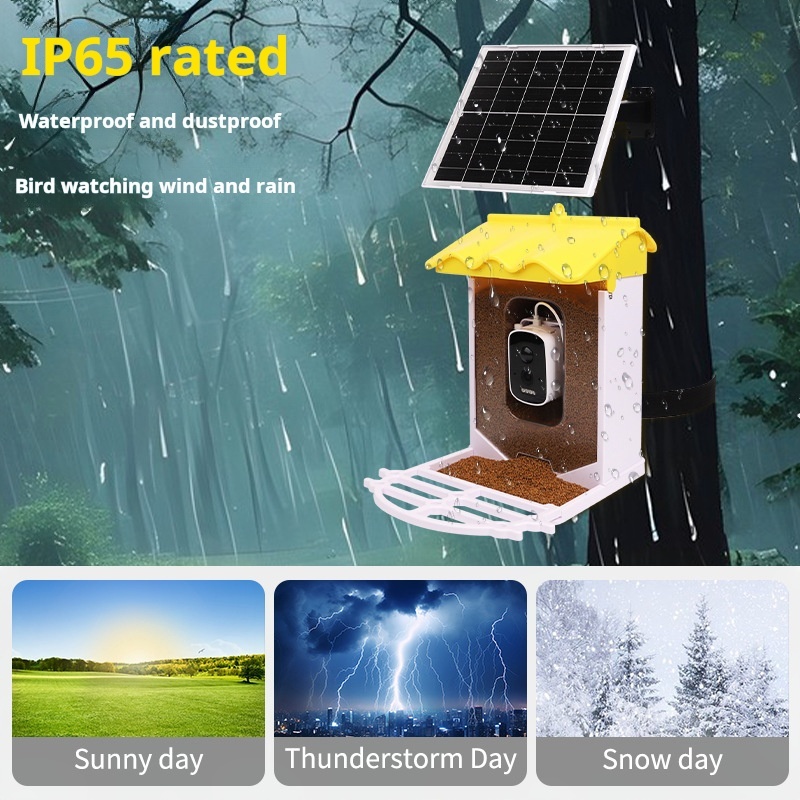 Solar-Powered AI Identify Smart Bird Feeder with HD Camera
