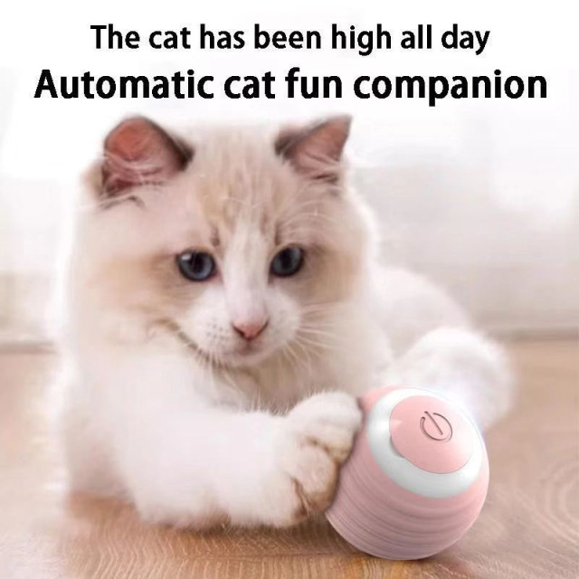 USB Electric Smart Automatic Moving Cat Ball Pet Play Interactive Toy