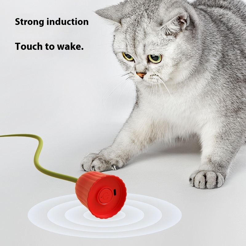 Flower Shaped Rechargeable Automatic Moving Cat Rolling Kitten Toy