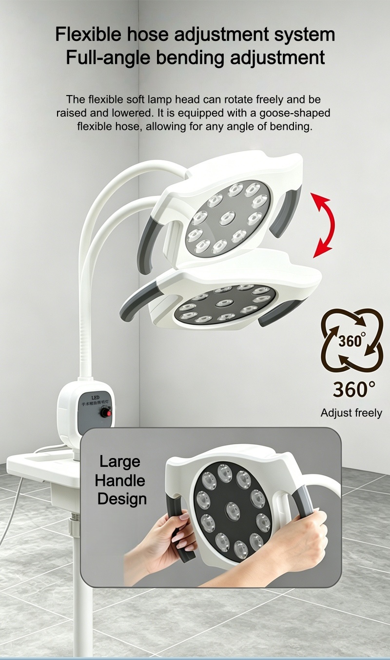 Nuoan Multifunctional LED Surgical Exam Light Floor Type Dimmable Cold Inspection Lamp For Dental Salon Treatment