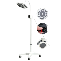 Nuoan Multifunctional LED Surgical Exam Light Floor Type Dimmable Cold Inspection Lamp For Dental Salon Treatment Nuoan Medical