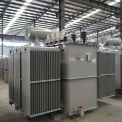 Oil-immersed transformers rated at 110 kV are suitable for large-scale infrastructure projects.