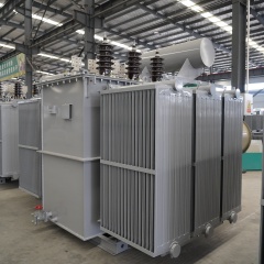 Oil-immersed transformers rated at 110 kV are suitable for large-scale infrastructure projects.