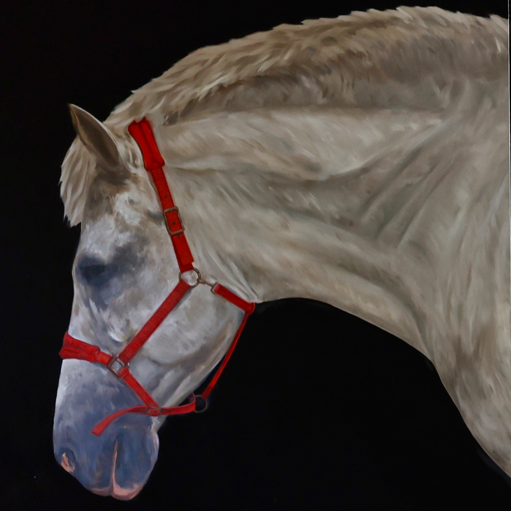 Wait – Contemporary Horse Artwork,UnNamed Art,Wait | Contemporary Horse Artwork