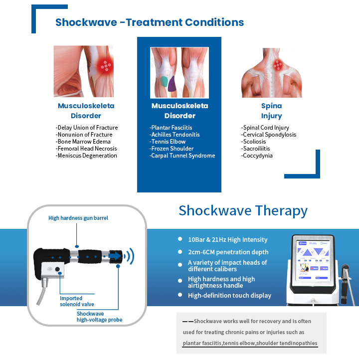 2202 Single Shockwave