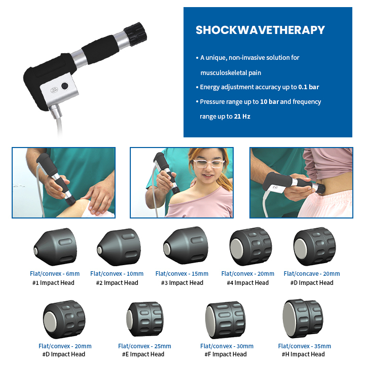 2202 Single Shockwave