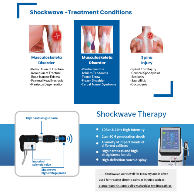 2202+2 Shockwave+Ultrasound