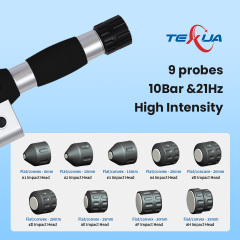 2202+5 （3 In 1 Shockwave+Ultrasound+Tecar）