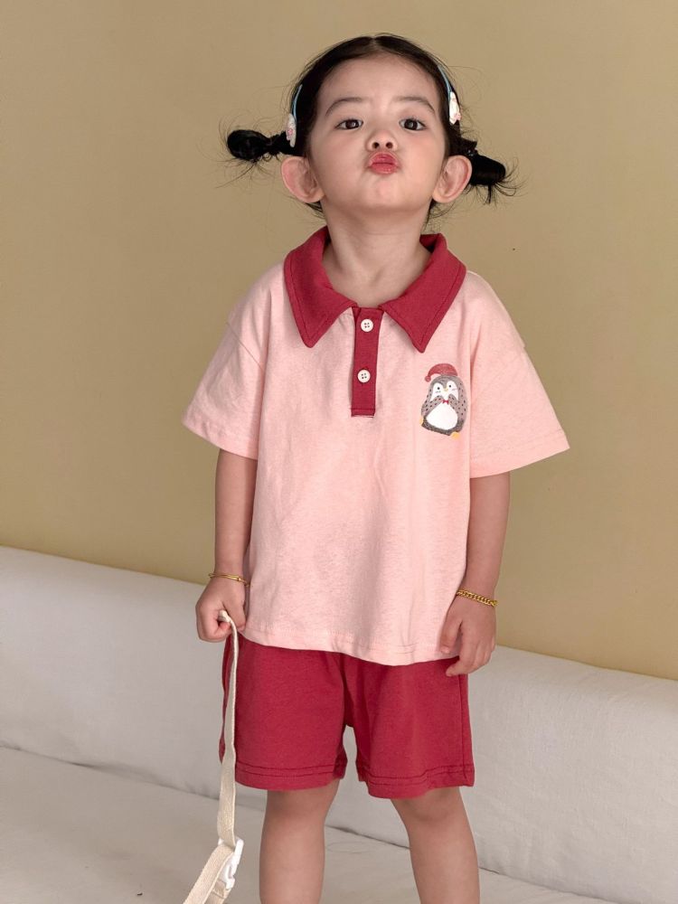 儿童夏季运动套装宝宝纯棉2026新款男女童休闲宽松短袖polo衫短裤