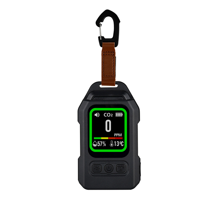 Indoor Outdoor Portable CO Gas Monitor Alarm