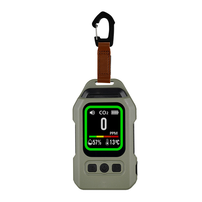 Indoor Outdoor Portable CO Gas Monitor Alarm