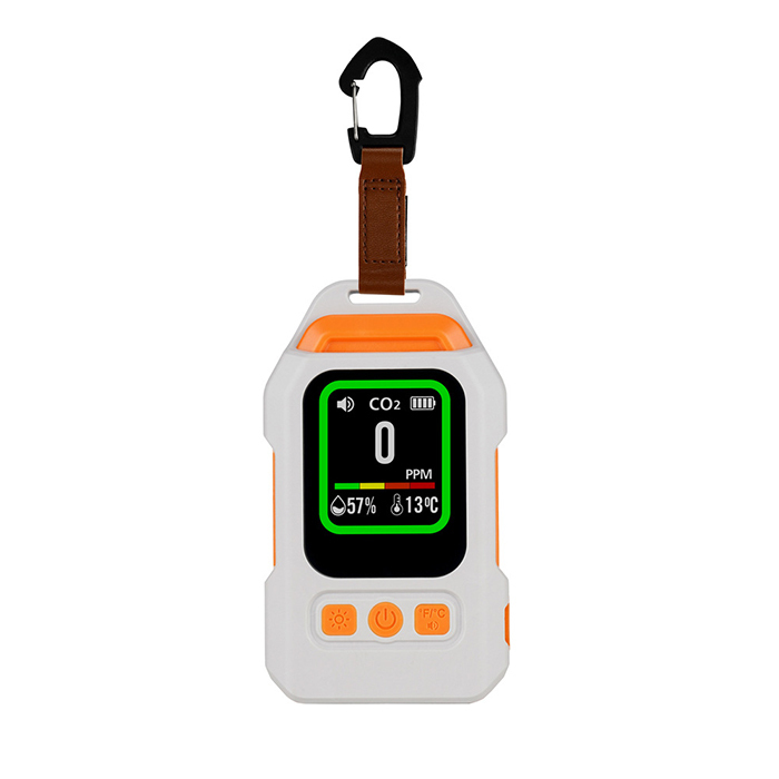 Indoor Outdoor Portable CO Gas Monitor Alarm