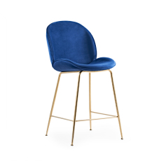 Bettle Bar Stool