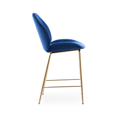 Bettle Bar Stool