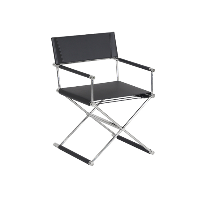 Director chair