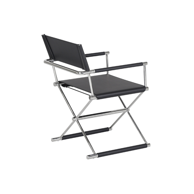 Director chair