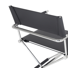 Director chair