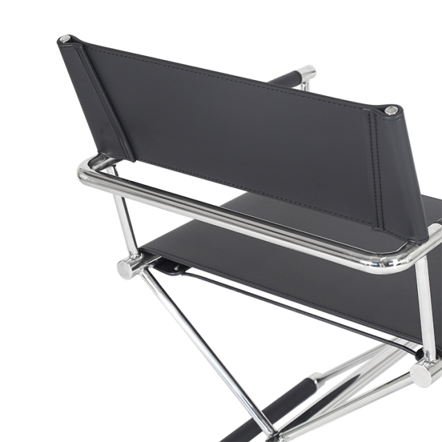 Director chair