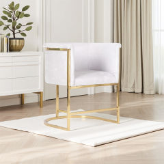 Manicure Customer Chair